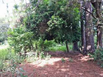 Paved country road providing access to flat fertile land for sale in Potrerillos Abajo near Boquete Panama