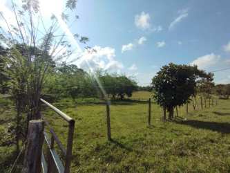 Open cleared rural lot with fencing and trees for sale in La Chorrera