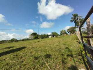 Land for Sale in Iturralde - 0 bedrooms