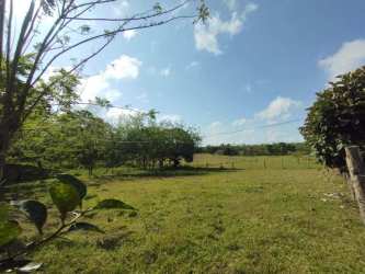 Green fields on flat terrain with mountain vistas rural La Chorrera