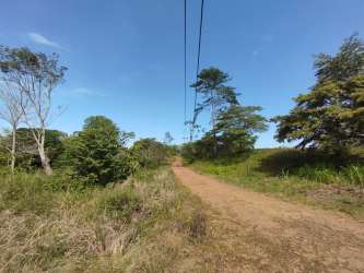 Vacant plot with grass, trees, and power lines for sale in La Chorrera Panama