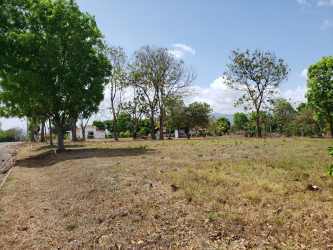 Vacant flat residential parcel surrounded by greenery PH La Colonia Punta Chame