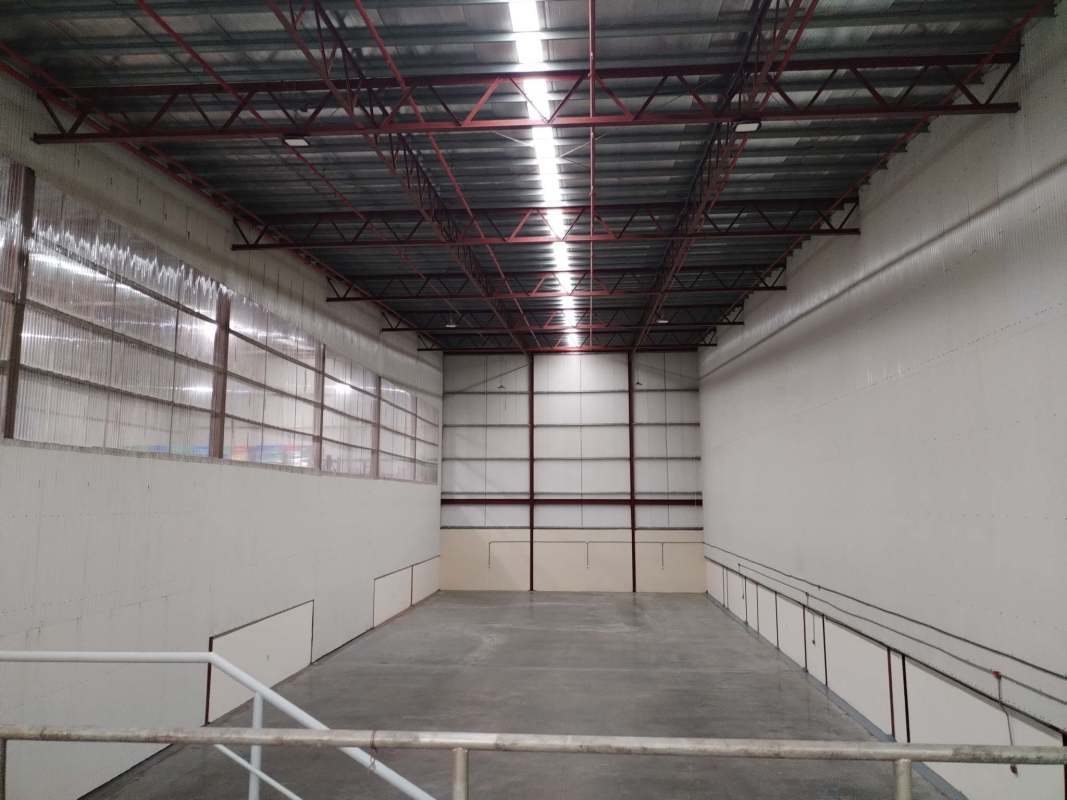 Spacious warehouse with 12m ceiling, polished floor, and roll-up loading doors in Campo Limberg Panama