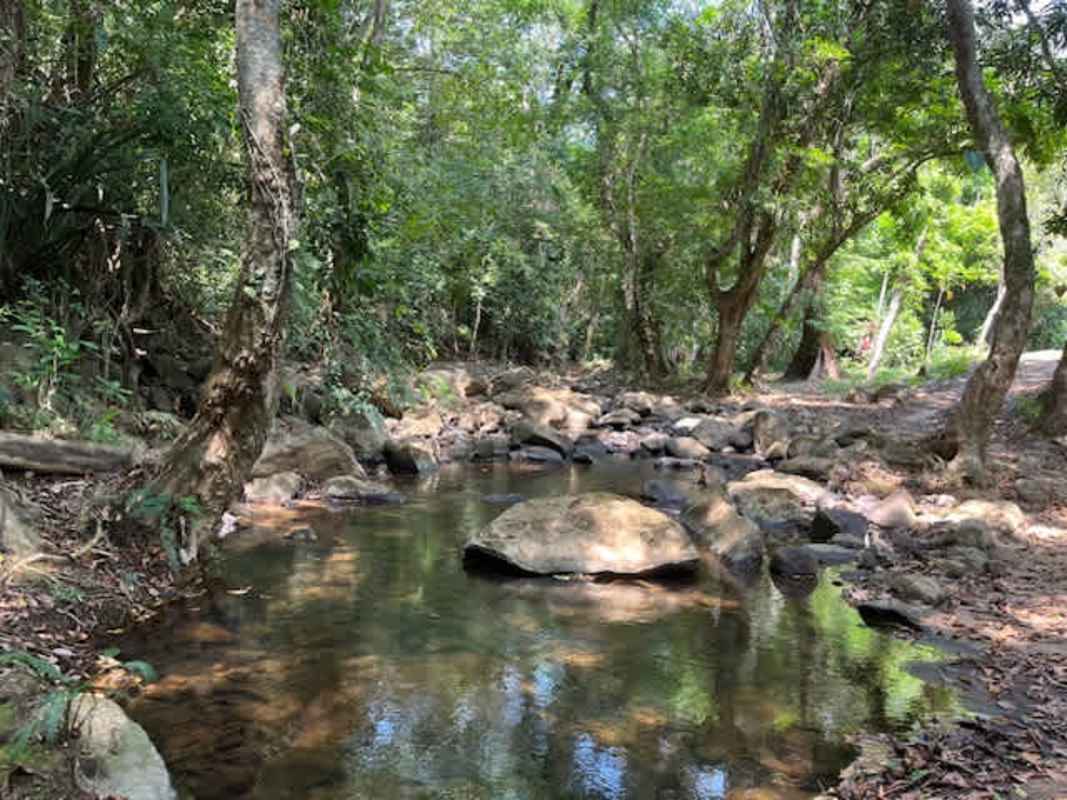 Lush mature forest on 26 hectare parcel near Panama City perfect for eco developments