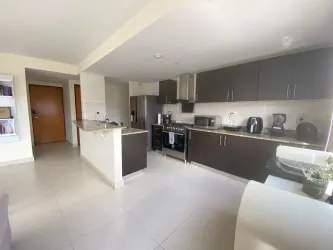Modern kitchen with granite countertops, appliances, window lighting in PH Woodlands for rent
