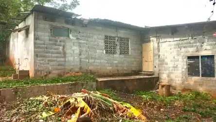 Concrete block unfinished house overgrown vegetation porch Burunga Los Ángeles Panama