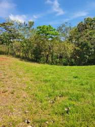 Residential lot bordered by trees close to surfing beaches Santa Catalina Panama