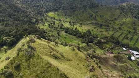 Expansive pasture with green rolling hills and mountain background on dairy farm in Volcán Panama
