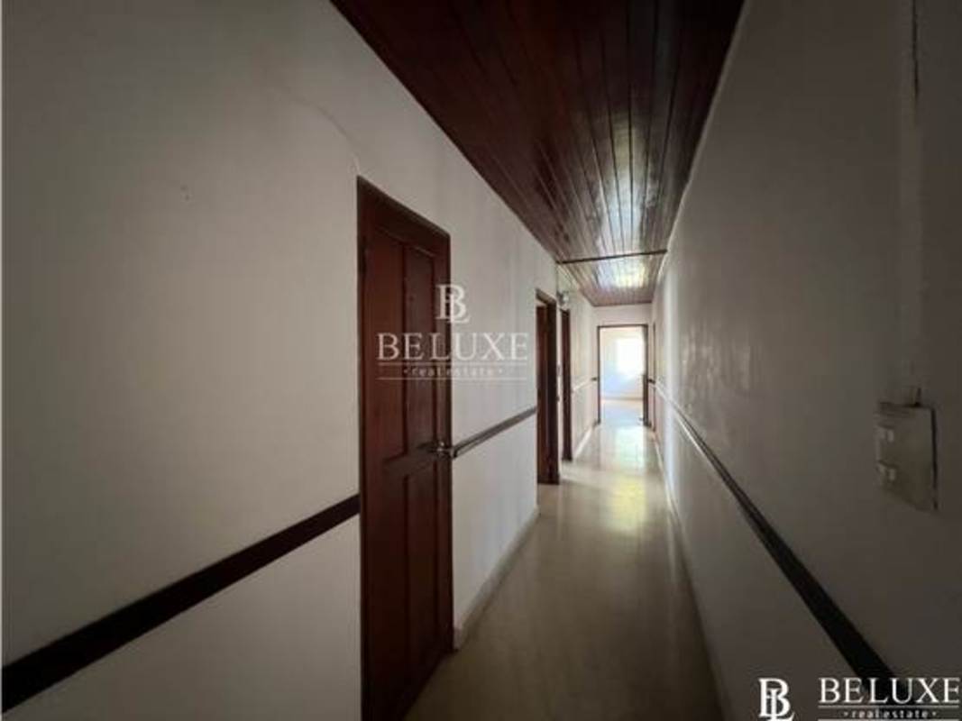 Expansive backyard garden with trees in Los Angeles Betania Panama