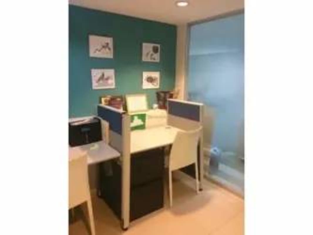 Cubicle workstation area in commercial office with teal wall PH Plaza Hato Pintado Panama
