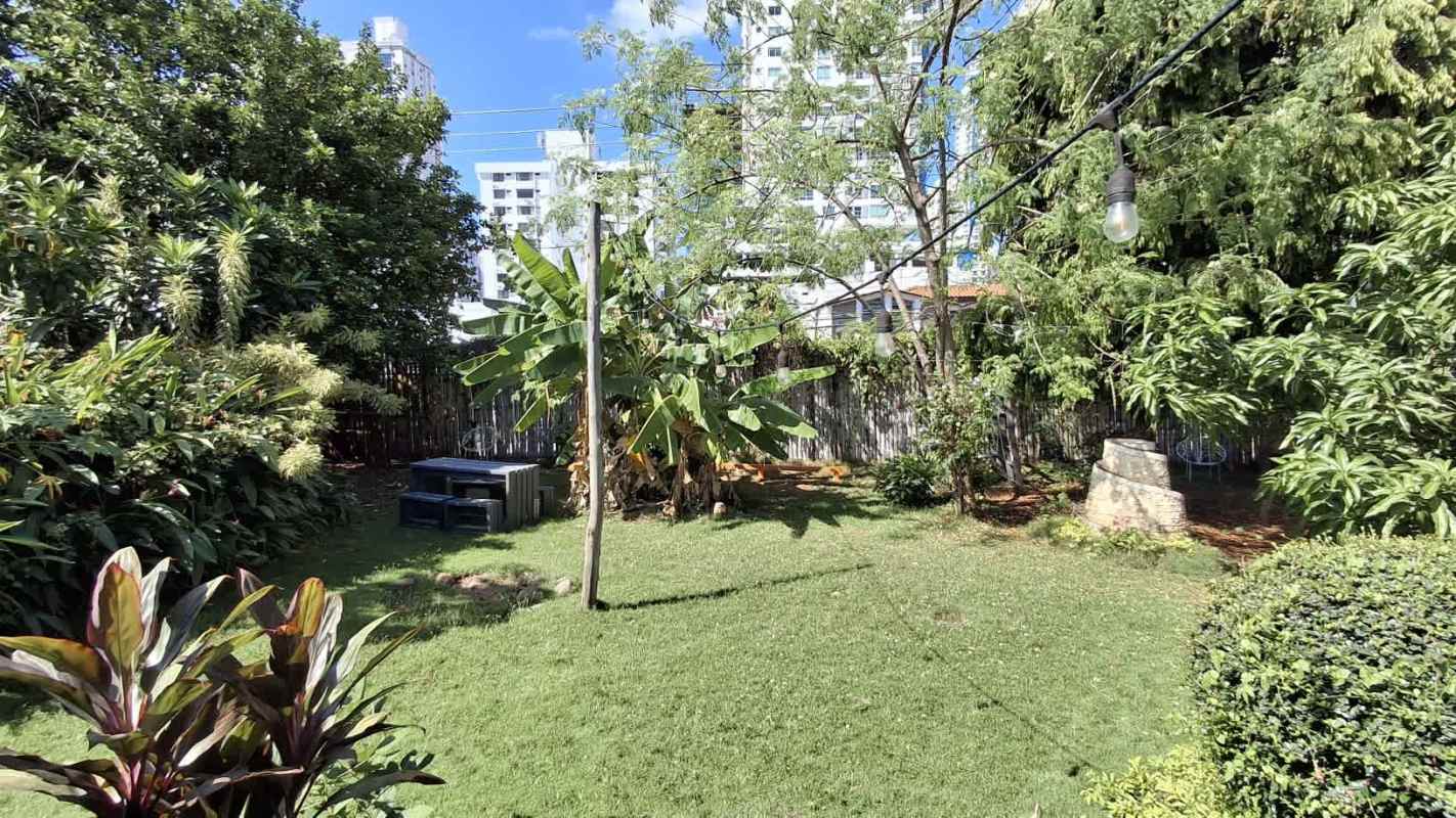 Large tropical garden backyard area with banana plants and Panama City skyline view