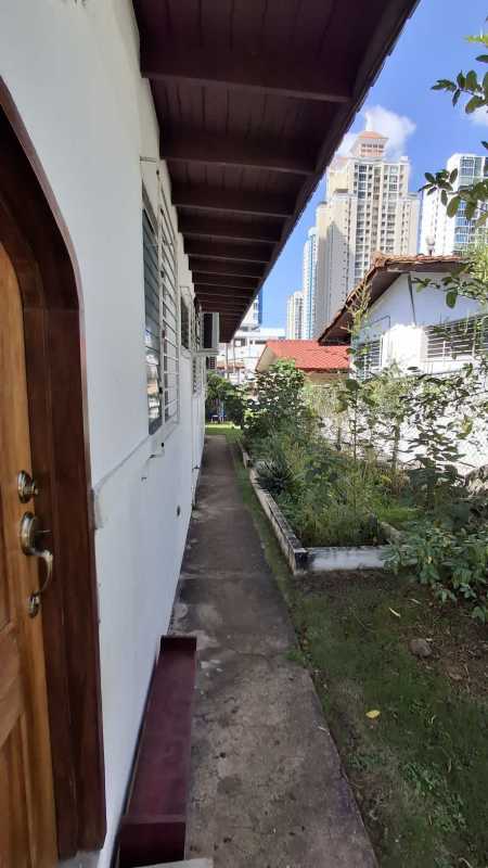 Private backyard garden with mature trees and tropical plants in San Francisco Panama