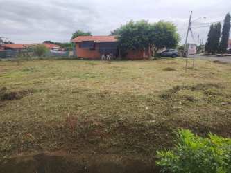 Vacant grass lot adjacent to single-story suburban homes with red roofs in Monagrillo Chitré Panama
