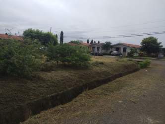 Suburban street lined with single-story houses with red roofs and green lawns near the vacant lot in Monagrillo Chitré Panama