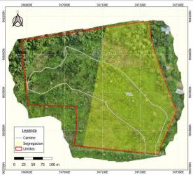 Aerial map with red boundary lines of 10 hectare parcel in Boquete Panama
