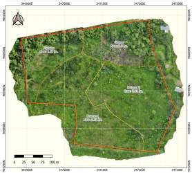 Satellite imagery showing paths, forest, terrain of Boquete land parcel