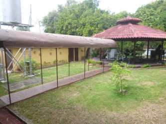 Lush backyard with mature vegetation fenced yard Panama