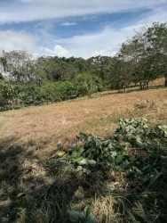 Flat open field with trees in San Carlos perfect for residential project Panama