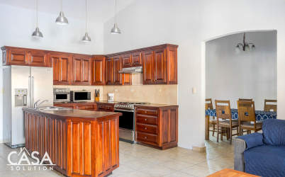 Wood cabinetry kitchen island stainless appliances Cuesta del Sol David Panama