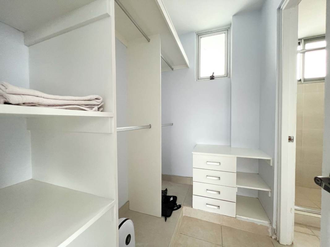 Modern walk-in closet with shelves hanging rods natural light Clayton Park apartment