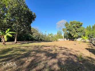 Flat fenced vacant lot with trees for development in David Chiriqui Panama for sale