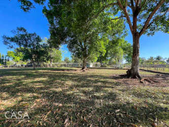 Fenced spacious flat piece of land with fruit trees residential lot David Chiriqui Panama