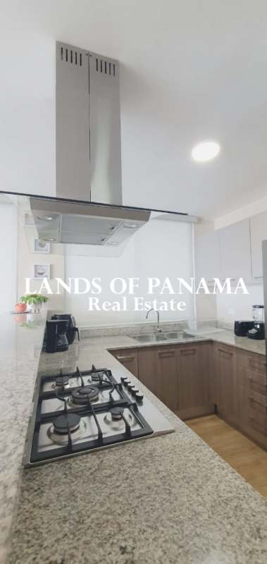 Furnished 2BR Apartment with Ocean View in PH Lumiere