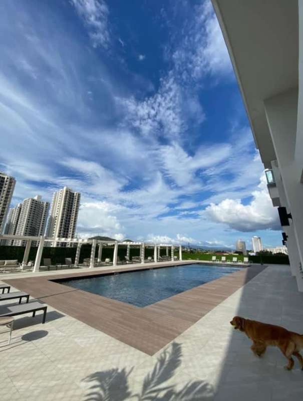 Condado del Rey 2 & 3BR Modern Condos with Balcony and Pool