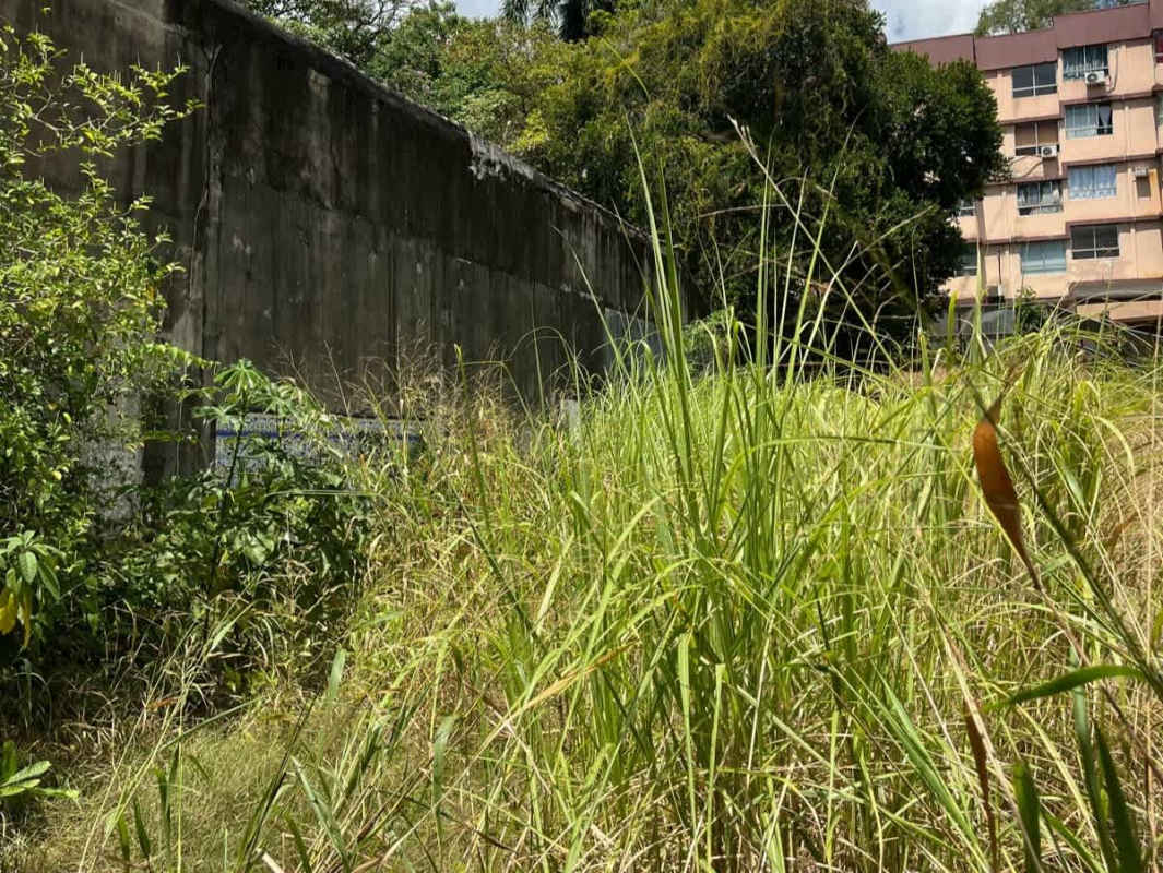 Urban Land for Development near University of Panama