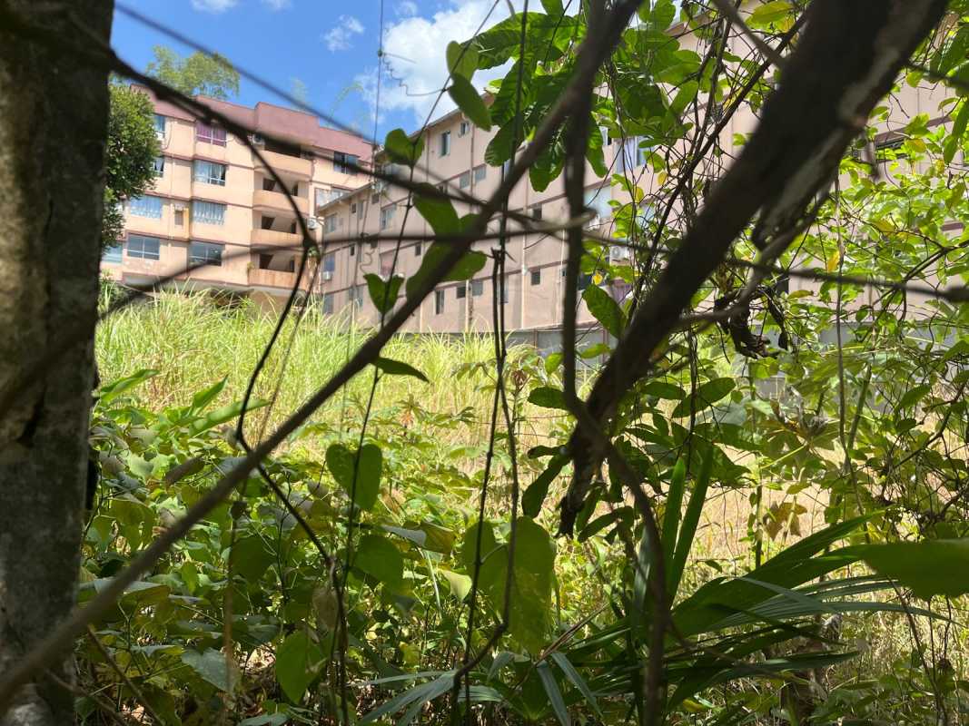 Tall apartment buildings seen from fenced overgrown development property in University District Panama City