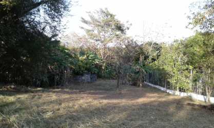 Open grassy area with fence and mature trees Panama Oeste land