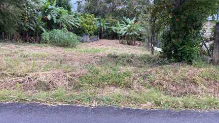 Cleared land plot next to paved road surrounded by lush vegetation San Carlos Panama