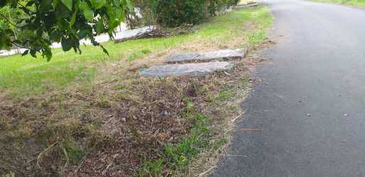 Paved road adjacent to cleared 540m2 lot for sale in San Carlos