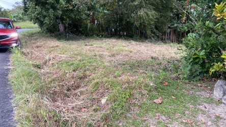 Level 540m2 buildable lot with trees and nearby road