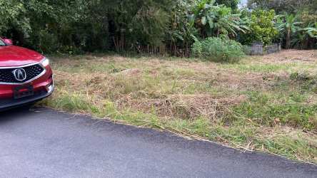 Vacant buildable land lot with greenery frontage on road San Carlos Panama Oeste