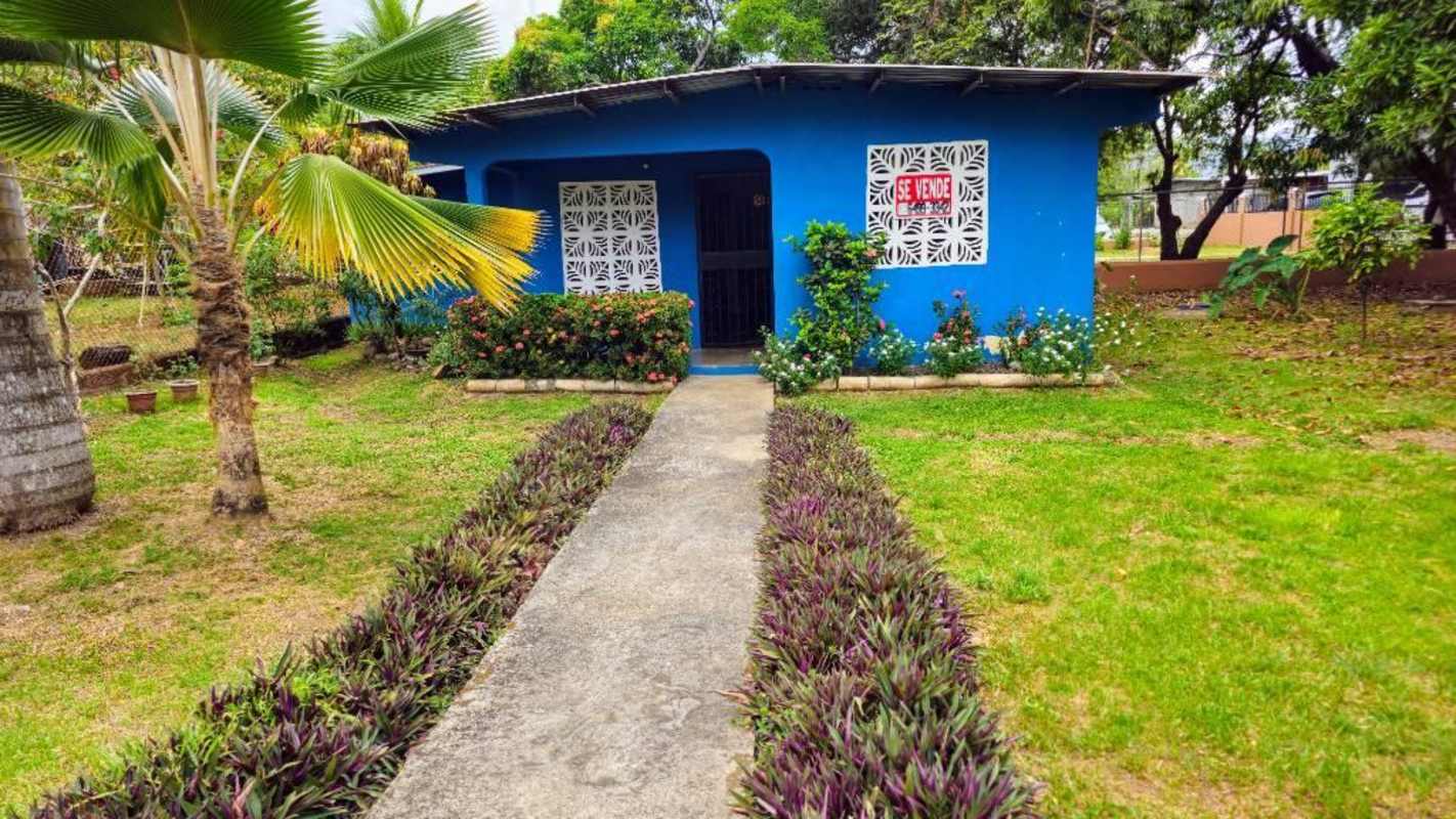 Front garden with flowers and palm trees blue house Nueva Esperanza Panama City