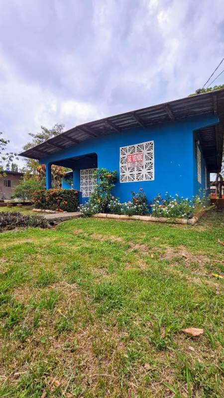 Large backyard with mature trees green grass blue house Nueva Esperanza Panama