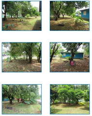 House for Sale in 24 de Diciembre - 3 bedrooms