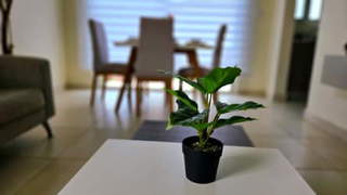 House for Rent in Vacamonte - 3 bedrooms