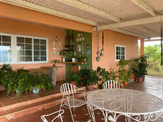 Covered rustic patio with plants and decor Los Pildones ranch Sora Panama