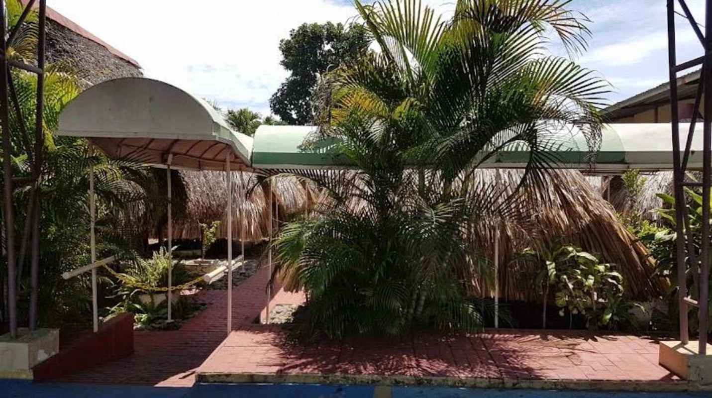 Covered outdoor walkway with palm trees and garden at commercial land in Juan Díaz Panama