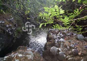 View of lush green forest on rolling hill large land plot Panama
