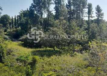 179 Ha Scenic Land with Falls & Streams for Development San Carlos
