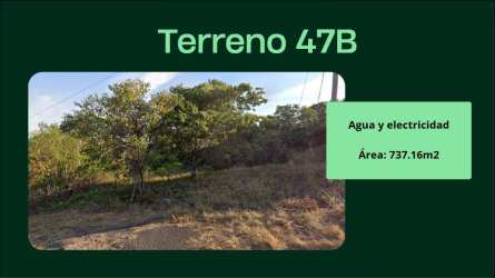 Cleared and wooded areas in investment land plot Barrio Balboa Capira