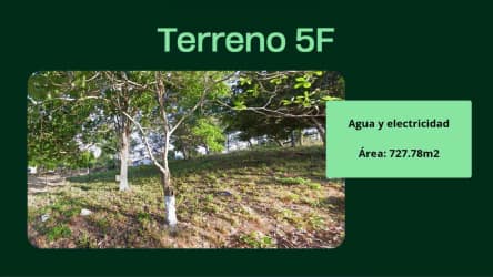 Vacant green terrain with natural slope suitable for building near La Chorrera