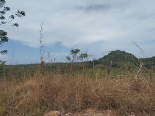 Land for Sale in El Cacao - 0 bedrooms