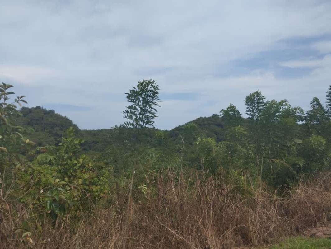 Panoramic view of natural countryside hills for sale Capira Panama