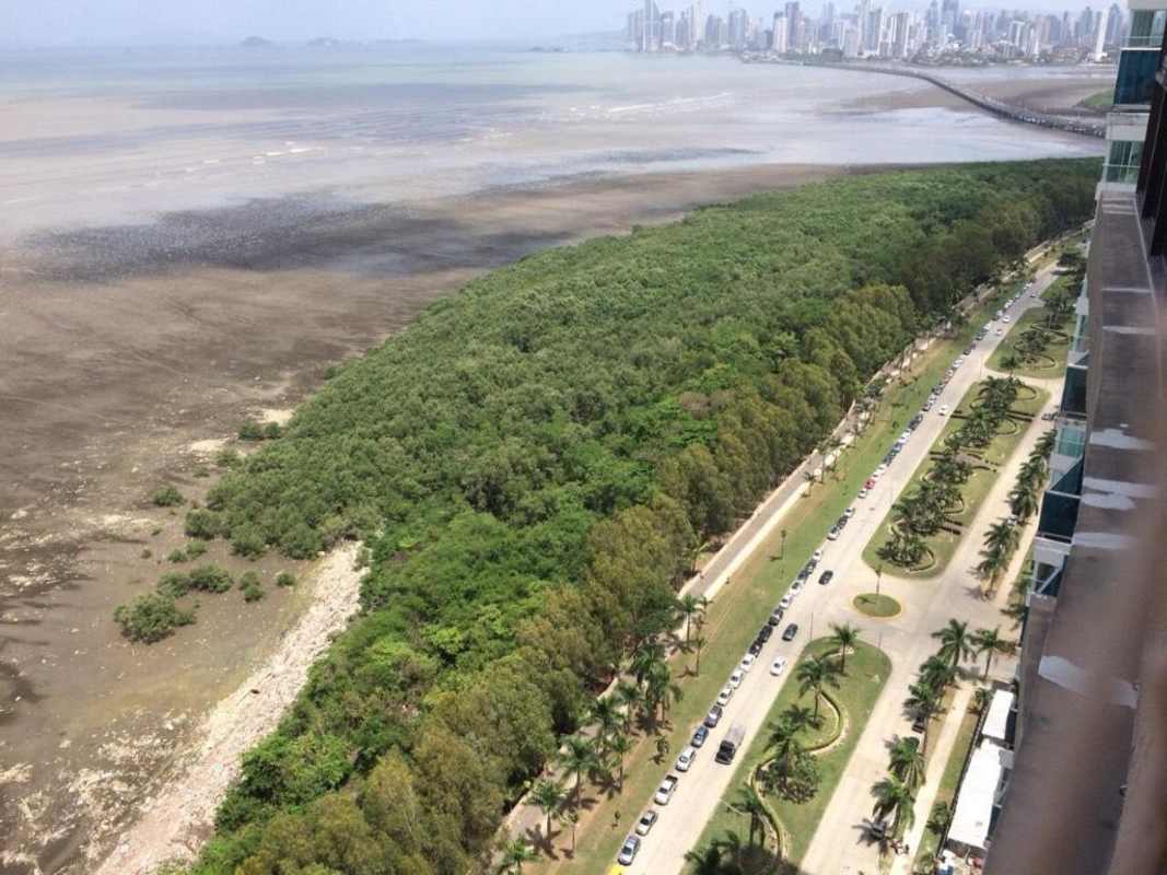 Spacious living and dining area with panoramic ocean views in PH Mirador Costa del Este Panama City