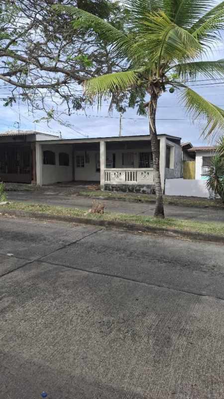 Single-story house with palm tree and porch facing suburban street in Las Acacias