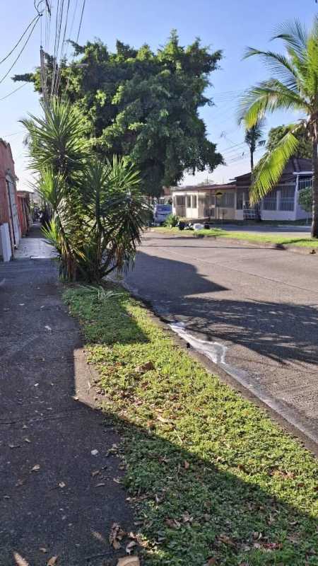 Residential suburban street with palm trees and sidewalk in Las Acacias Panama